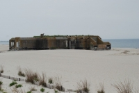 wp_DSC_7291