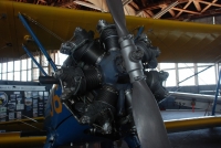 wp_DSC_7329