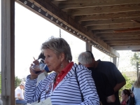 wp_Wildwood-2012-u