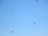 ws_2014_reading_air-012