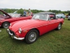 ws_2014_carshow-0998