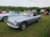 ws_2014_carshow-1019