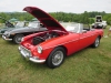 ws_2014_carshow-1025