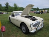 ws_2014_carshow-1106