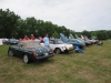 ws_2014_carshow-1123